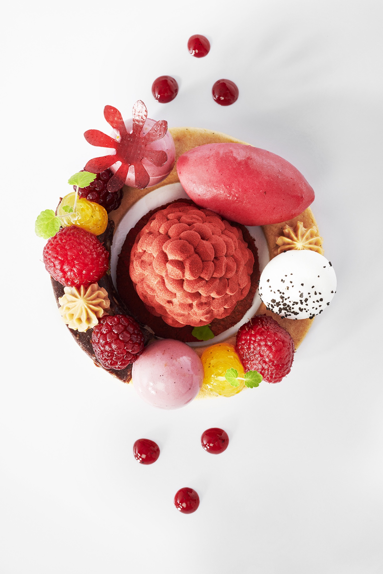 Assiette de l'équipe de Suède au Bocuse d'Or, photographiée par Julien Bouvier