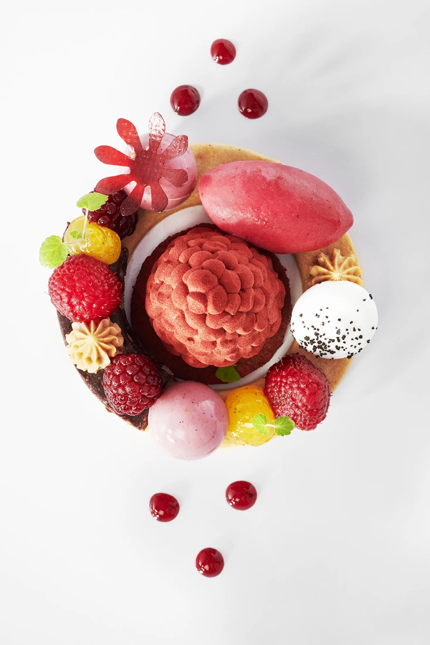 Assiette de l'équipe de Suède au Bocuse d'Or, photographiée par Julien Bouvier