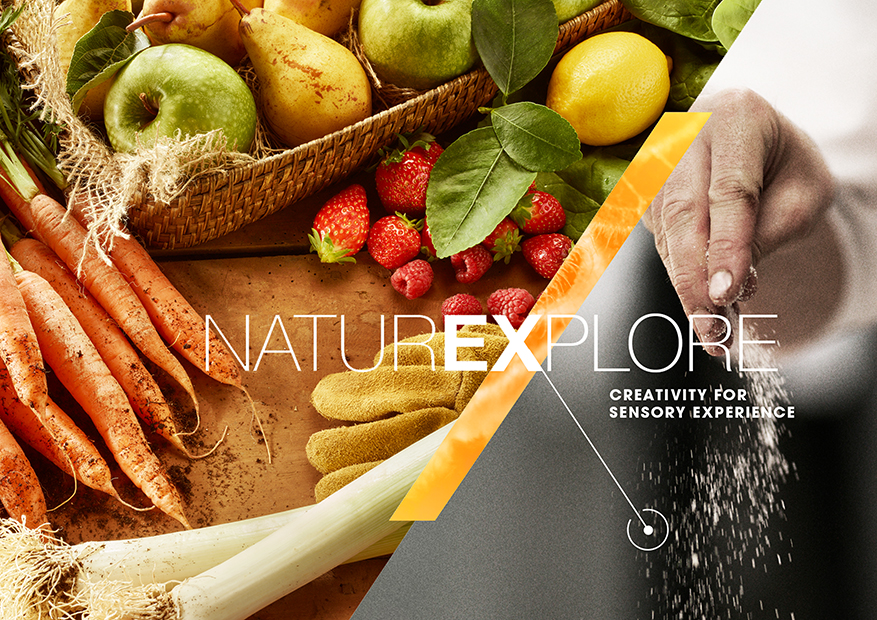 Key visual Naturex par Julien Bouvier