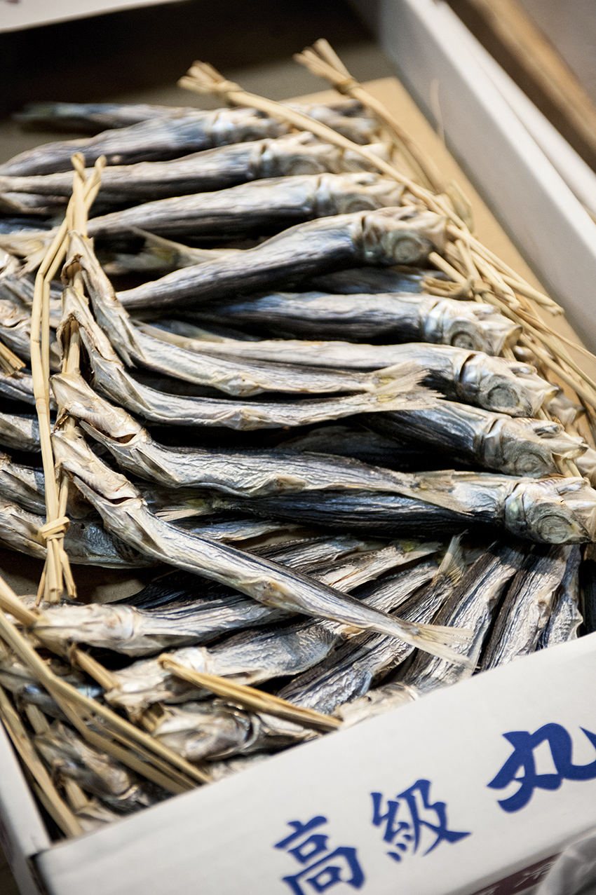 Marché de Tsukiji à Tokyo, reportage culinaire au Japon par Julien Bouvier