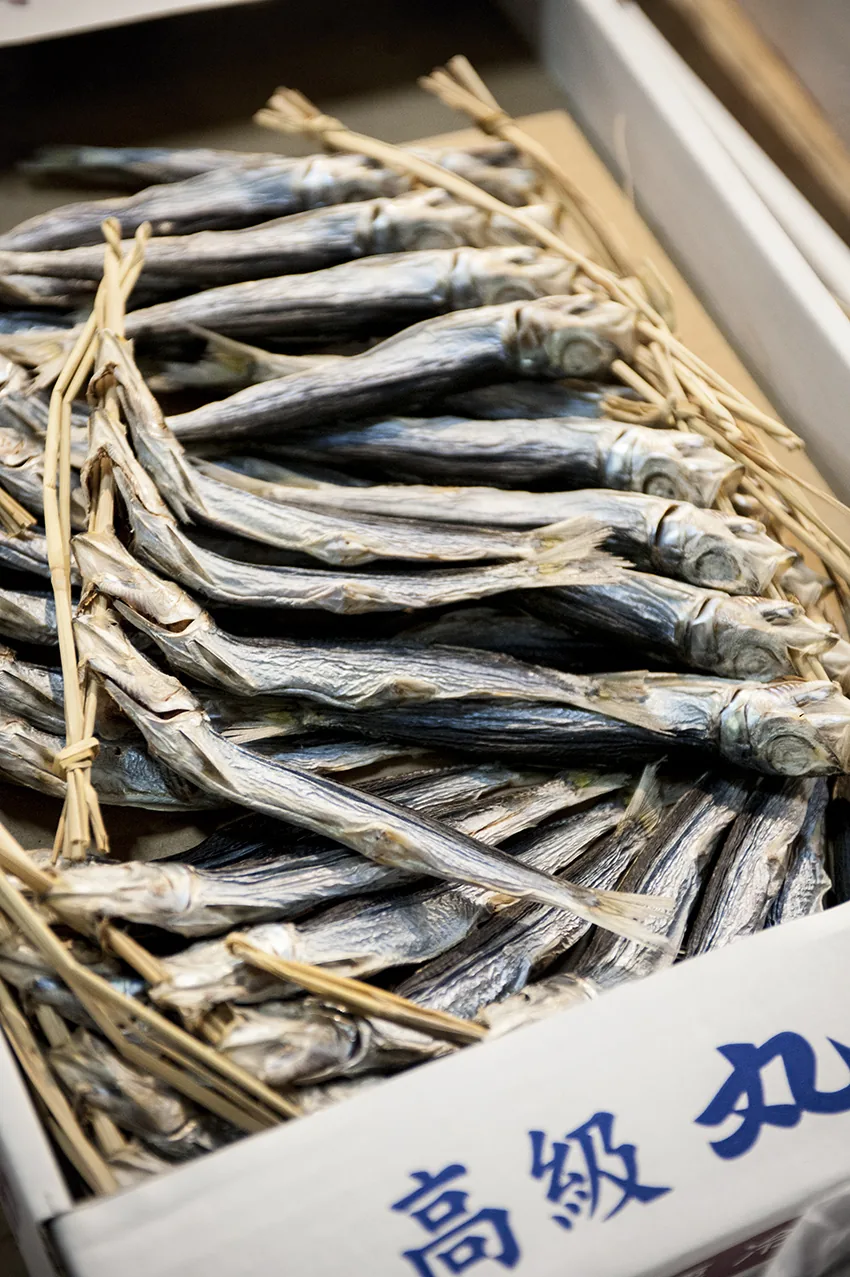 Marché de Tsukiji à Tokyo, reportage culinaire au Japon par Julien Bouvier
