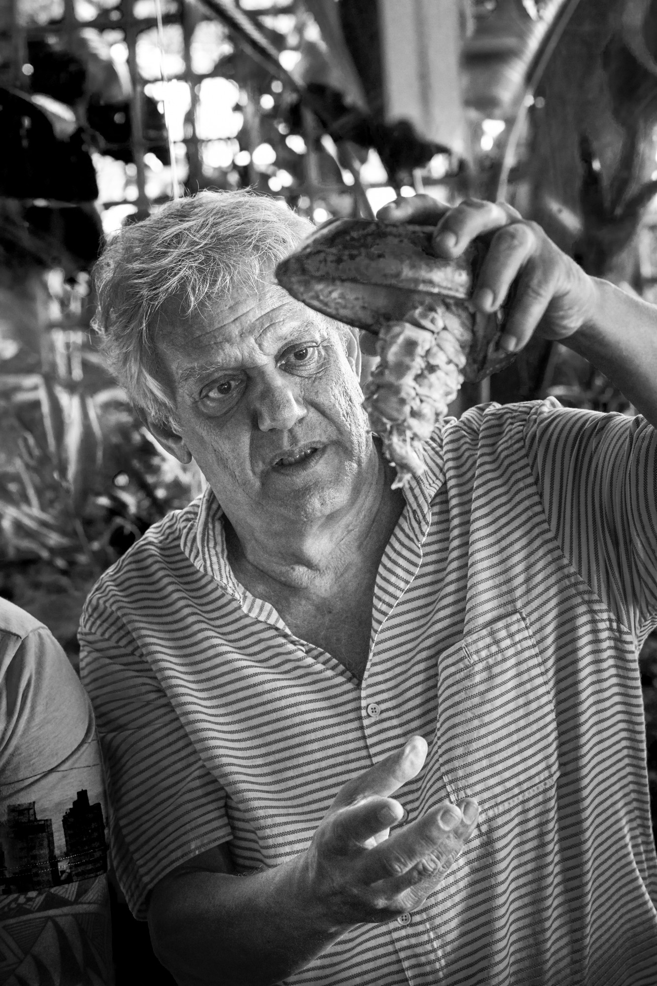 Cabosse de cacao à Rio, reportage culinaire au Brésil par Julien Bouvier